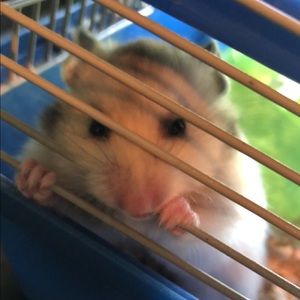 Meet your Posher, Abbie